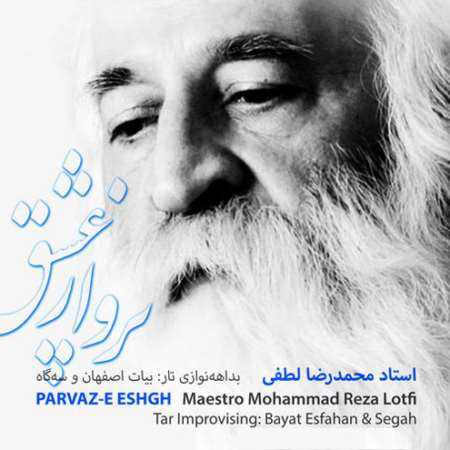 دانلود آهنگ محمد رضا لطفی به نام تصنیف ز من نگارم